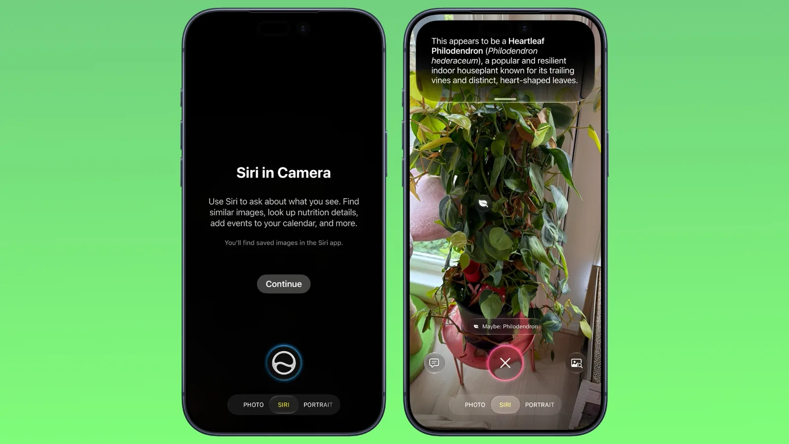 iPhone Camera app showing the Siri mode and Visual Intelligence controls